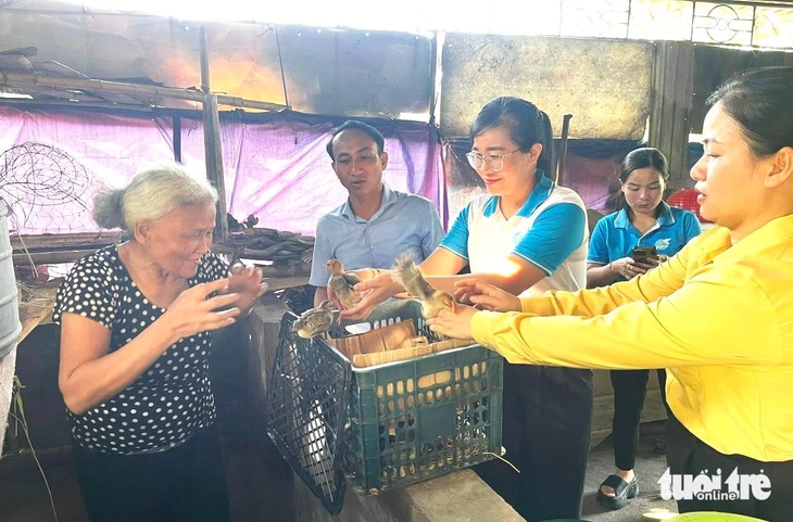 góp gạo - Ảnh 4.