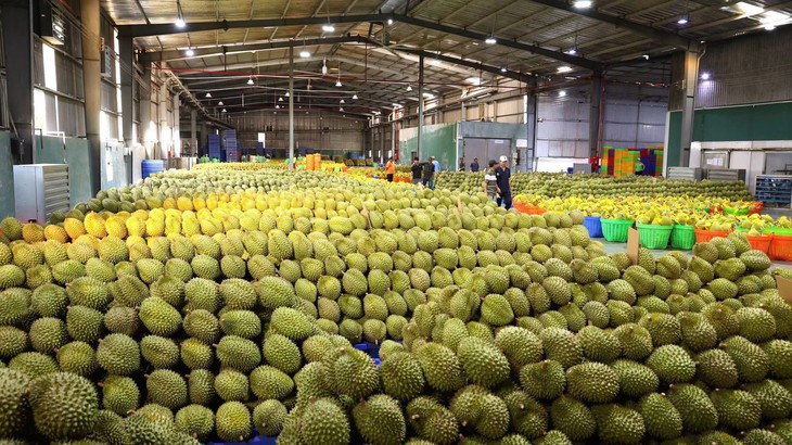 Phó Thủ tướng: Không được để nông sản, sầu riêng ùn ứ do cấp mã vùng trồng, kiểm nghiệm - Ảnh 2.