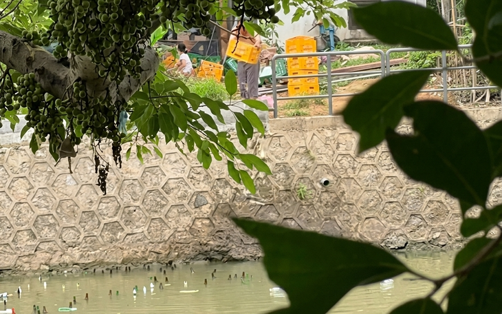 Người ném vỏ chai bia xuống sông Kẻ Vạn ở Huế phải tự thuê ghe đi vớt lên lại - Ảnh 3.