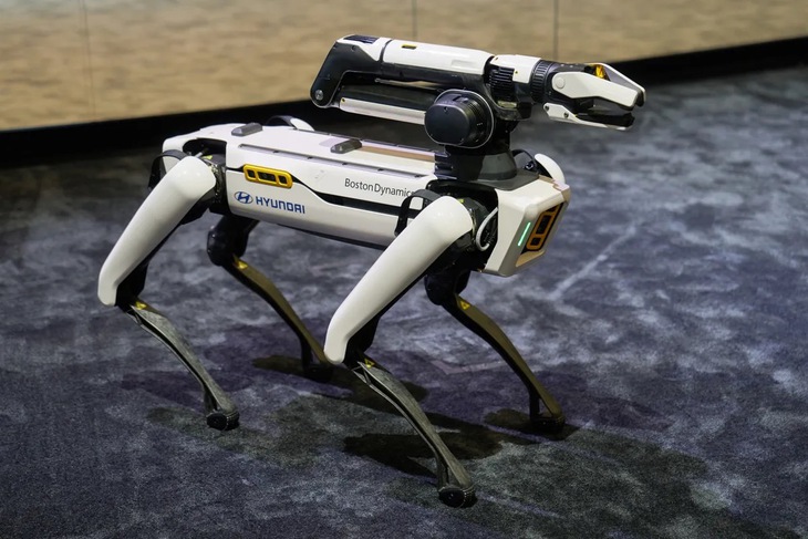robot - Ảnh 1.