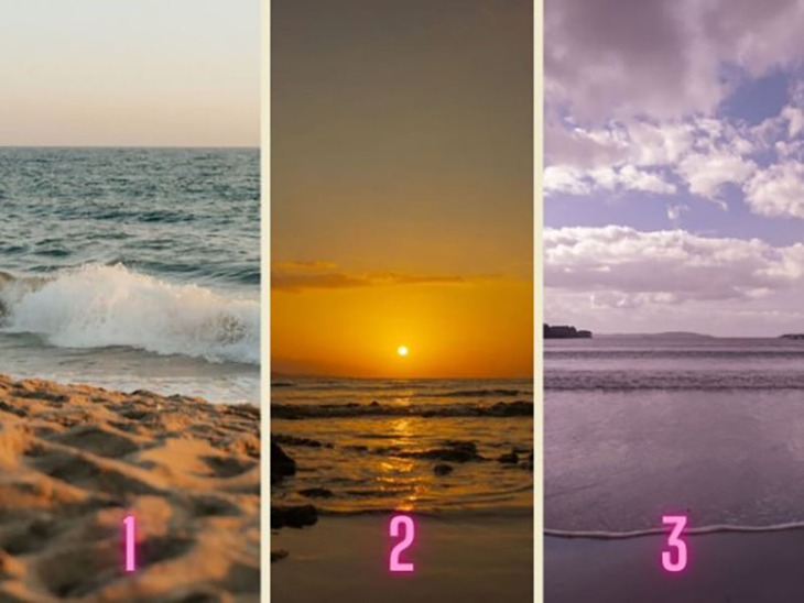 quiz - Ảnh 1.