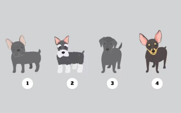 Quiz: Bạn ghét nhất điều gì ở bản thân? - Ảnh 2.