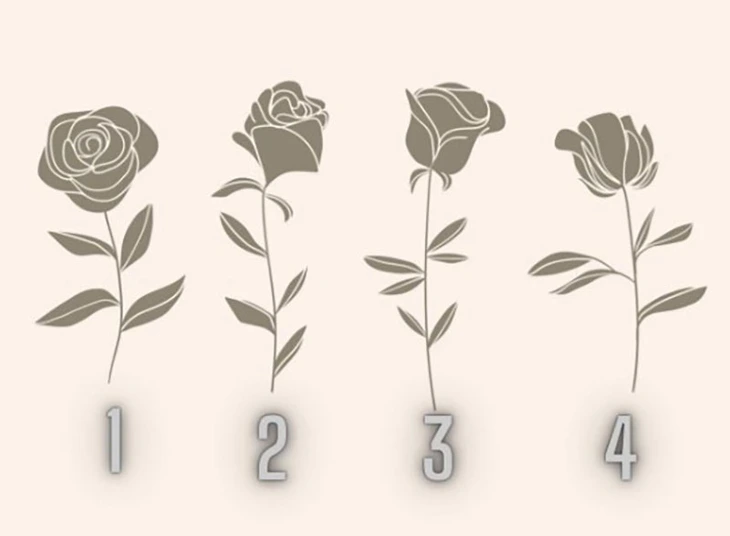 quiz - Ảnh 1.