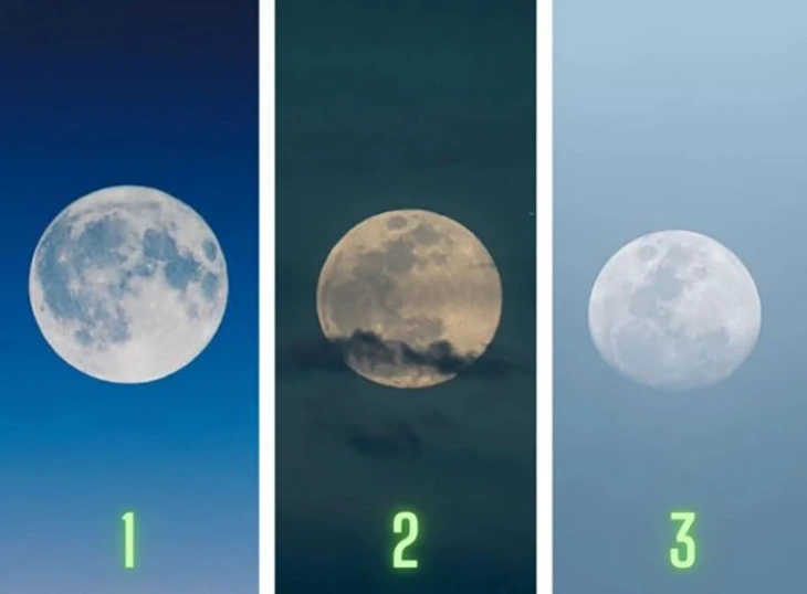 quiz - Ảnh 1.
