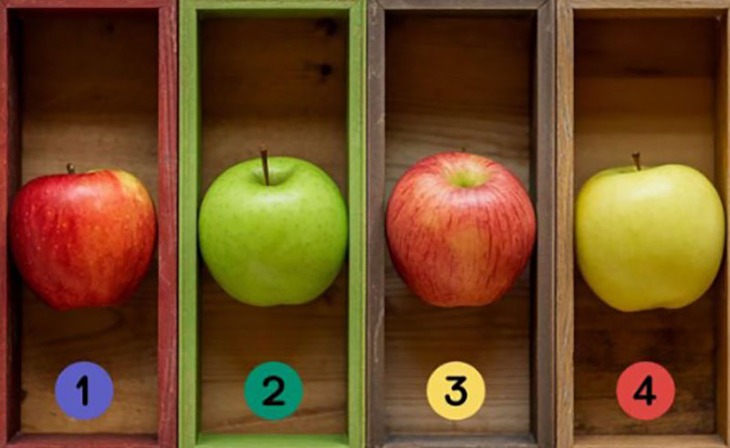 quiz - Ảnh 1.