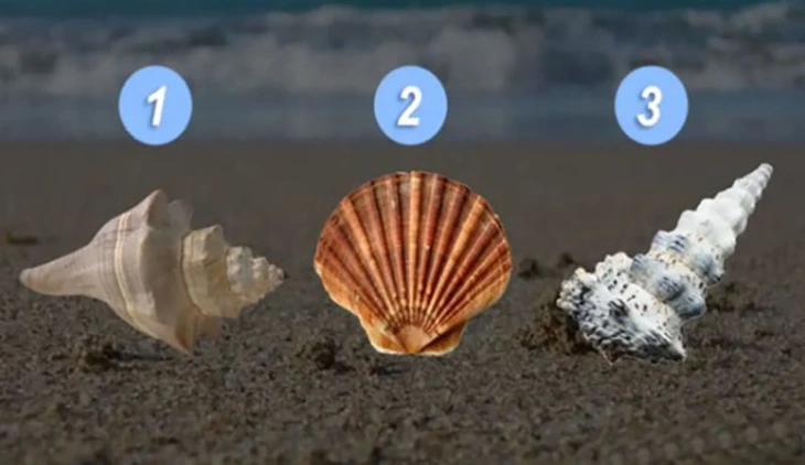 quiz - Ảnh 1.