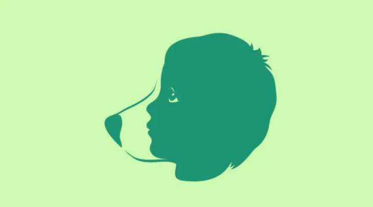 quiz - Ảnh 1.