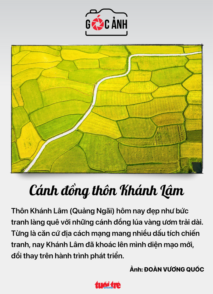 TIN TỨC - Ảnh 7.