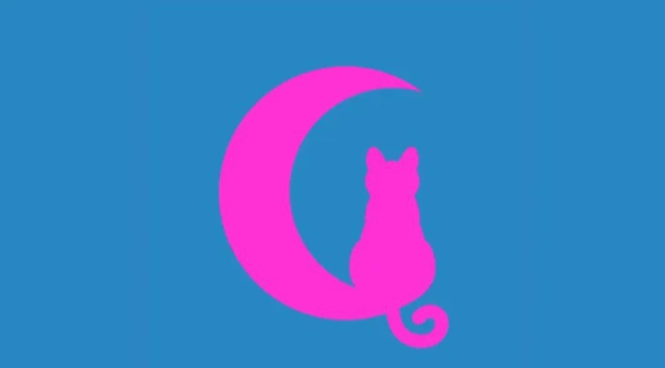 quiz - Ảnh 1.