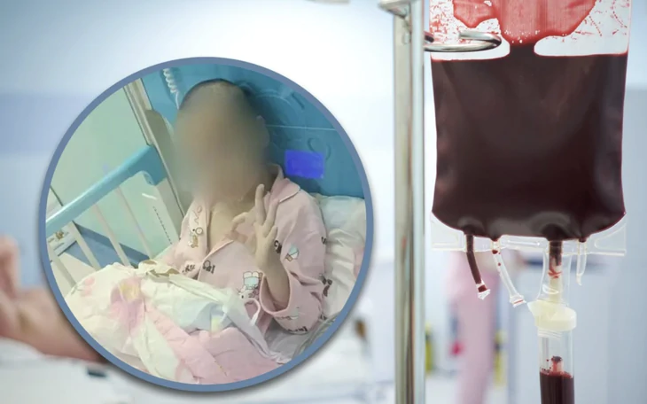 Nghiên cứu, ứng dụng tế bào gốc để người cao tuổi không cần ra nước ngoài điều trị - Ảnh 1.