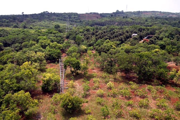 Trụ điện 110kV mất ốc chân đế, người dân thấp thỏm trước mùa mưa bão - Ảnh 2.