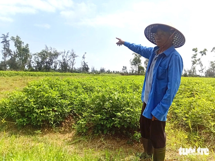 mỏ sắt - Ảnh 2.