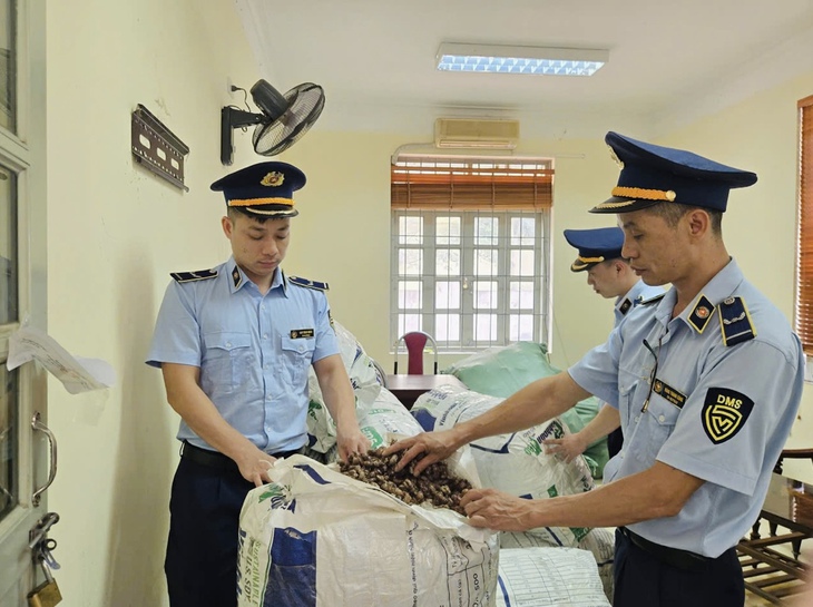 ve sầu - Ảnh 1.