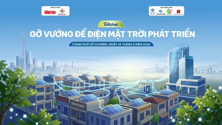 điện mặt trời - Ảnh 2.