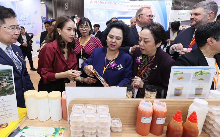 Việt Nam tìm đường làm chủ chuỗi giá trị ASEAN, thoát bóng 'gia công' - Ảnh 4.