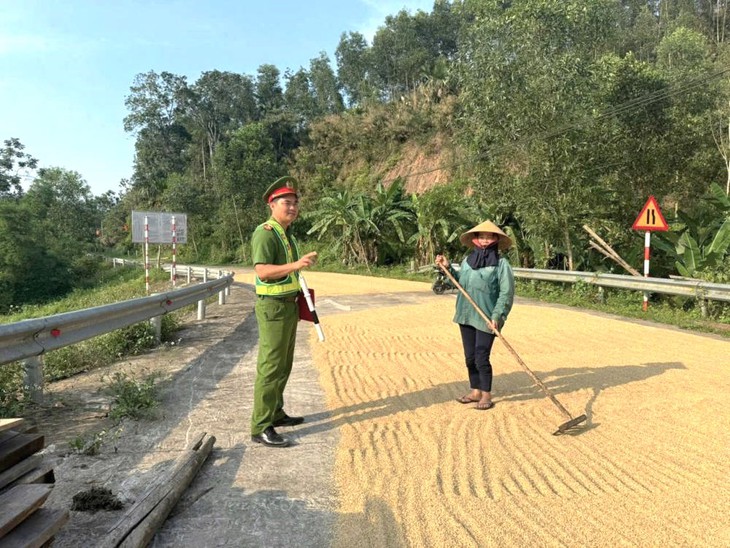 phơi lúa - Ảnh 1.