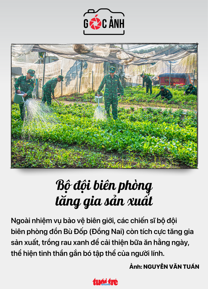 phạt - Ảnh 5.