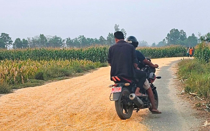 Đừng để 'cái sảy nảy cái ung' - Ảnh 2.
