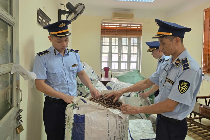 ve sầu - Ảnh 1.
