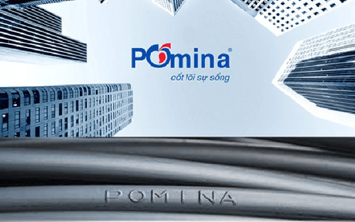 Kiểm toán lưu ý khả năng hoạt động liên tục, Pomina hé lộ thỏa thuận với Vinhomes - Ảnh 3.