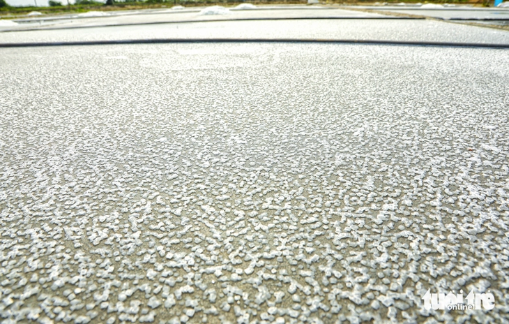 đồng muối - Ảnh 6.