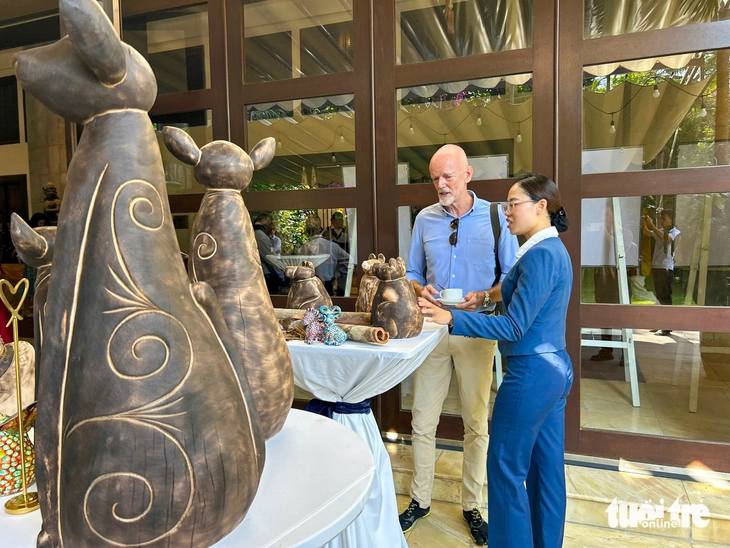 Đánh thức 'cao sơn ngọc quế' xứ Quảng - Ảnh 3.