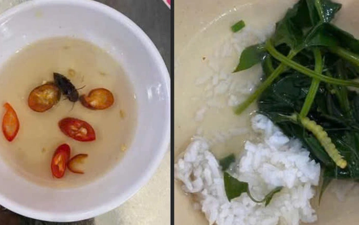 Vụ bữa ăn tập thể của sinh viên nghi có gián, dòi và sâu: Cơ sở nấu ăn xin lỗi sinh viên - Ảnh 2.