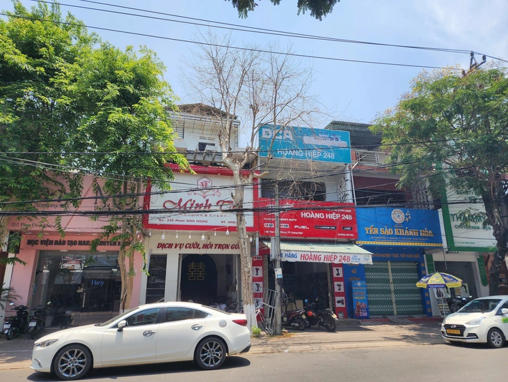 cây xanh - Ảnh 3.