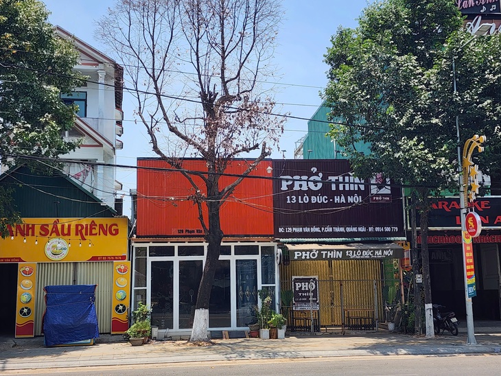 cây xanh - Ảnh 1.