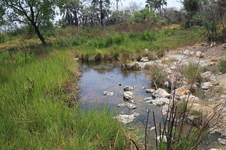 mảng kiến tạo - Ảnh 2.