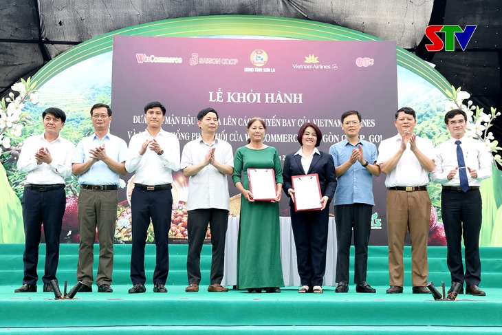 mận hậu - Ảnh 2.