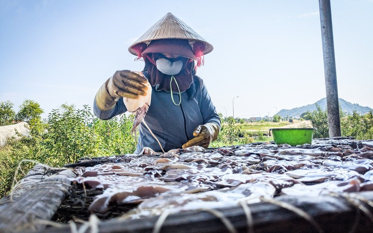 Chủ tịch tỉnh Gia Lai yêu cầu xử lý triệt để nạn ô nhiễm từ nghề sơ chế mực xà - Ảnh 2.