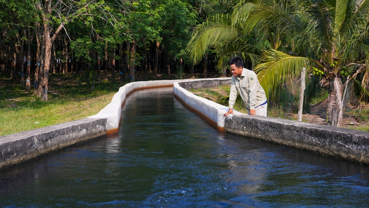 Nước sông Vàm Cỏ Đông 'đến hẹn lại đen', địa phương nói gì? - Ảnh 2.