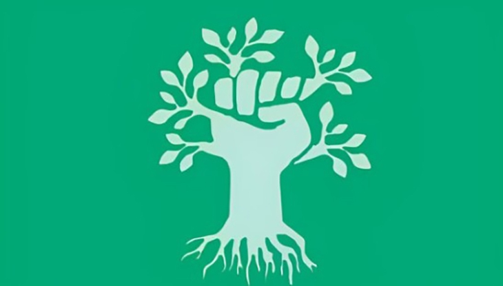 quiz - Ảnh 1.