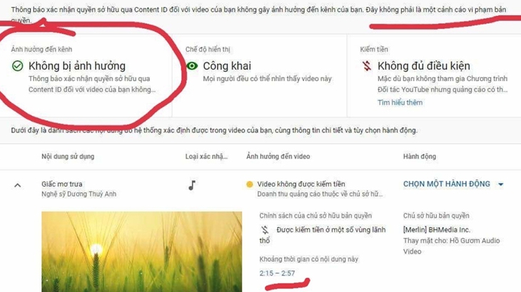 Nỗi ám ảnh bị 'đánh gậy bản quyền YouTube' của nghệ sĩ Việt - Ảnh 2. bản quyền - Ảnh 2.