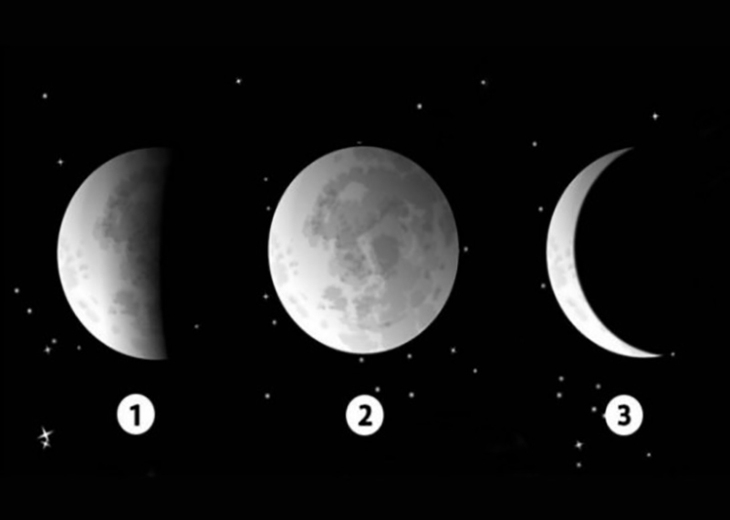 quiz - Ảnh 1.