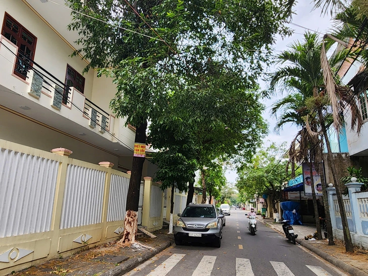 Thêm một cây xanh bị 'lột da' ở Quảng Ngãi - Ảnh 4.