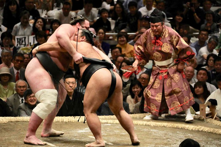 Vì sao các võ sĩ sumo khó thọ quá tuổi 60? - Ảnh 4.