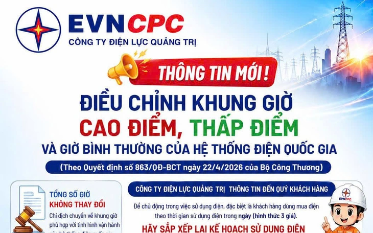 PC Quảng Trị triển khai giải pháp chống quá tải lưới điện mùa nắng nóng - Ảnh 5.