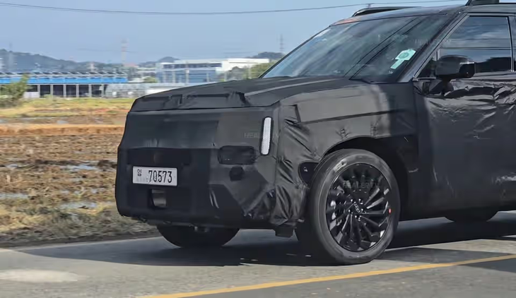 Hyundai Santa Fe - Ảnh 1.