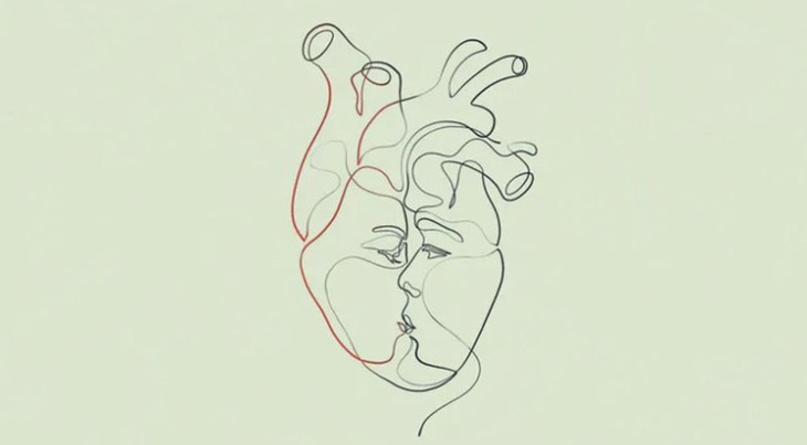 quiz - Ảnh 1.