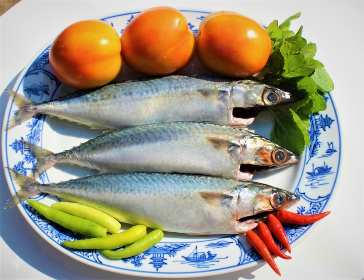 cá nục - Ảnh 6.