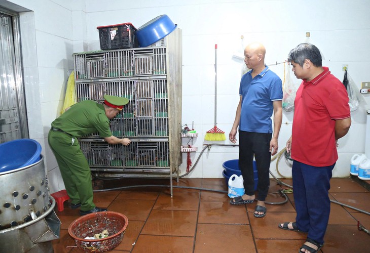 khởi tố - Ảnh 4.