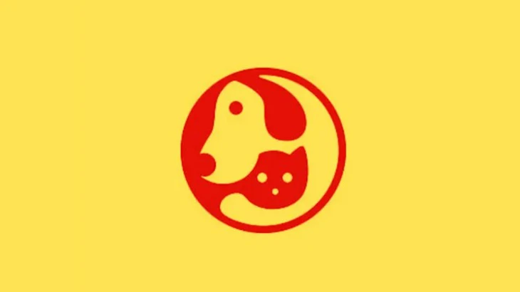 quiz - Ảnh 1.