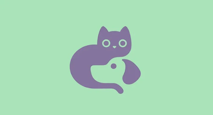 quiz - Ảnh 1.