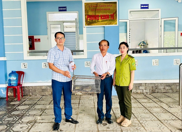 động vật - Ảnh 2.