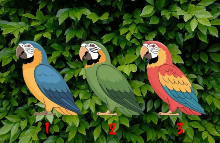 quiz - Ảnh 1.