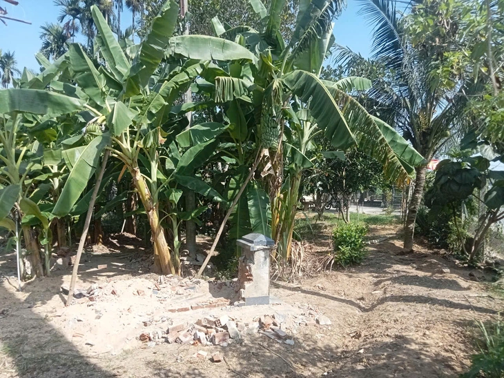 trộm mộ - Ảnh 2.