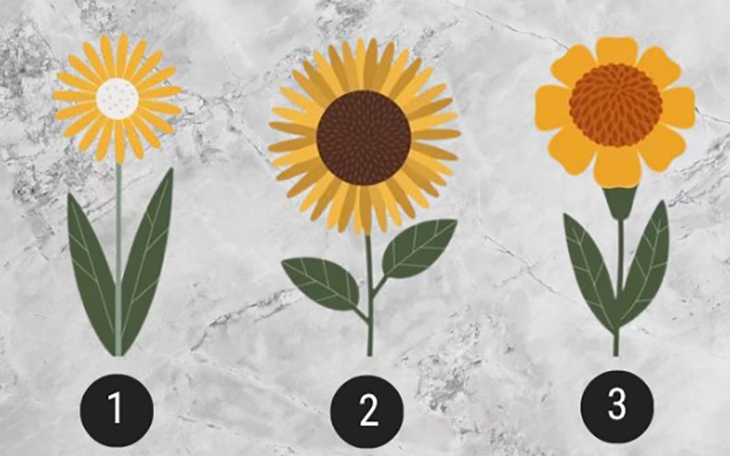 Quiz: Bạn nổi bật với tư duy logic, sự sáng tạo? - Ảnh 4.