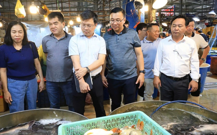Co.op Food chuẩn bị ra mắt diện mạo mới tại nhiều tỉnh thành - Ảnh 5.